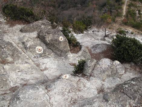 20140125hike (301)